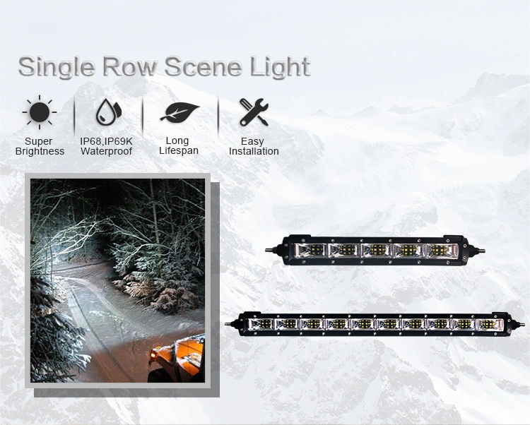 Scene light _01.jpg