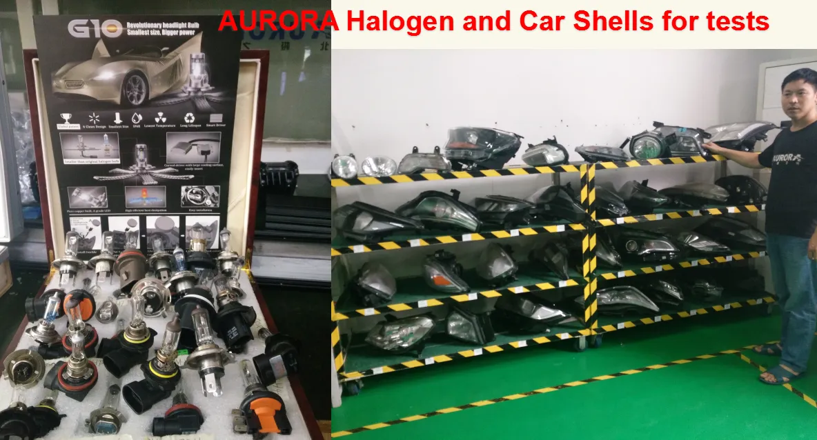 Car shells VS Halogen