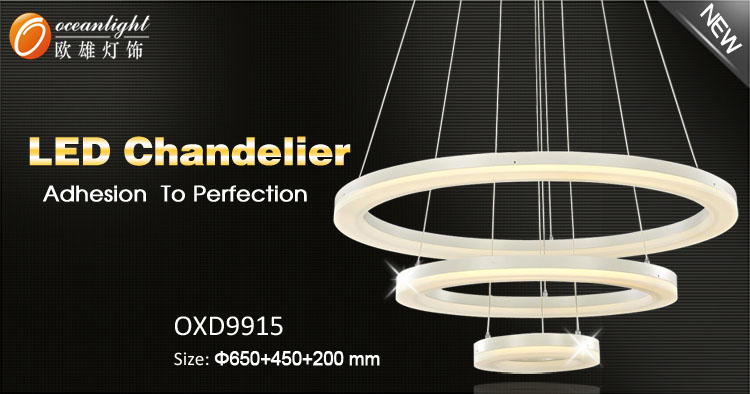 OXD9915.jpg