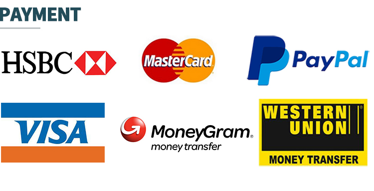 6 payment