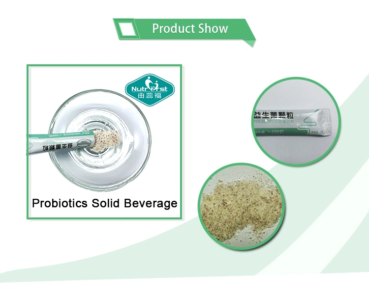 No addition Superfood Supplement Veganism Enzymed Probiotics Premix Solid Beverage Powder with Sachet Packing