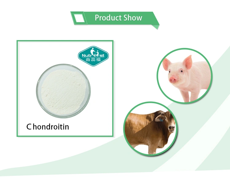 Health Supplements Joint Support Raw Material CAS 9082-07-9 Chondroitin Sulfate powder from Bovine Porcine Chicken