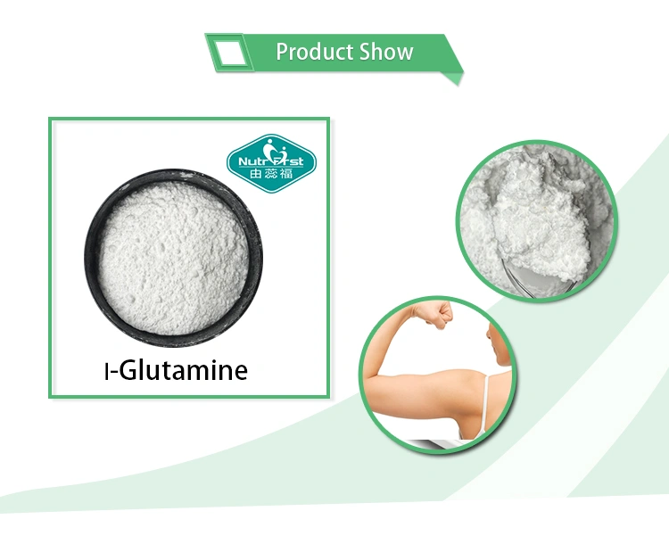 Nutrifirst Factory Supply Raw Material Health Supplement CAS NO.56-85-9 L Glutamine Bulk Powder L-Glutamine
