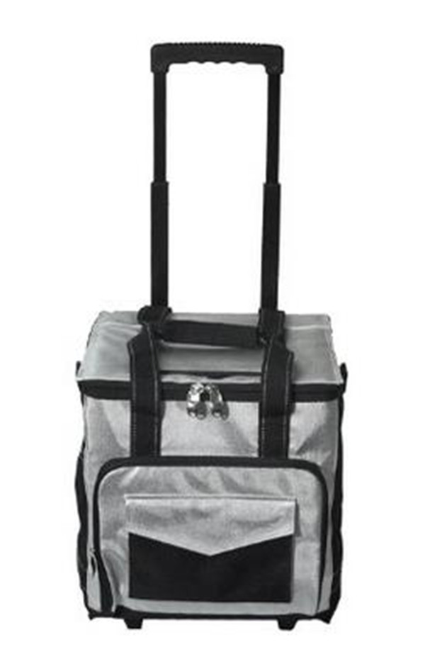 cooler bag0010.jpg