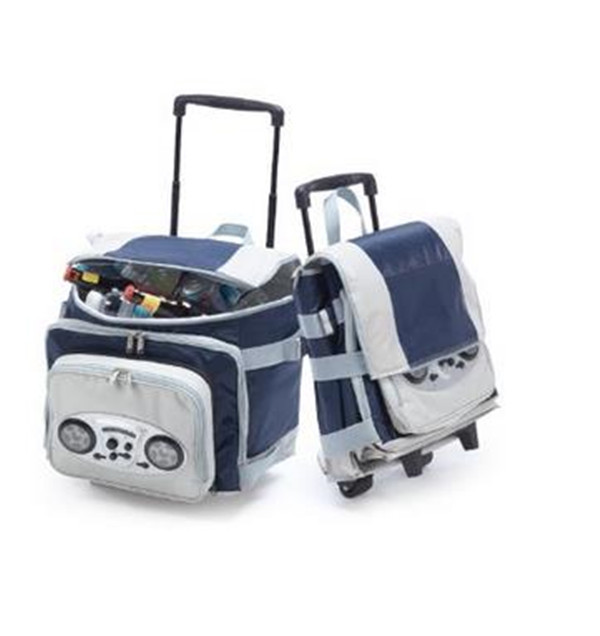 cooler bag0166.jpg