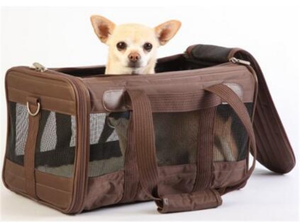 PET BAG42.jpg