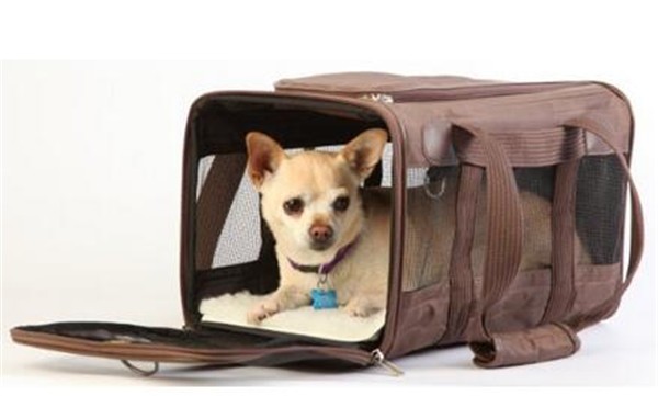 PET BAG43.jpg