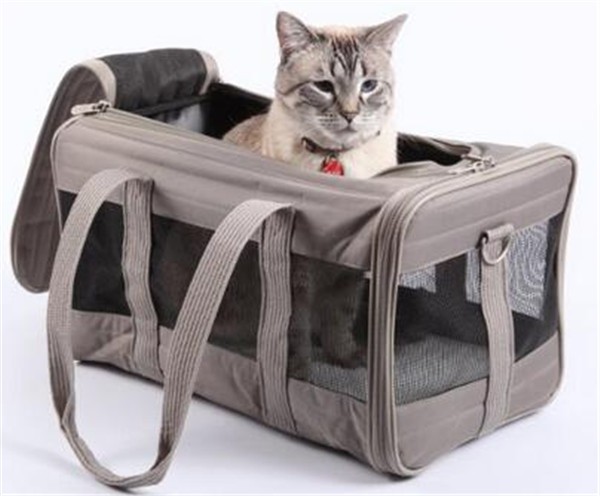 PET BAG37.jpg