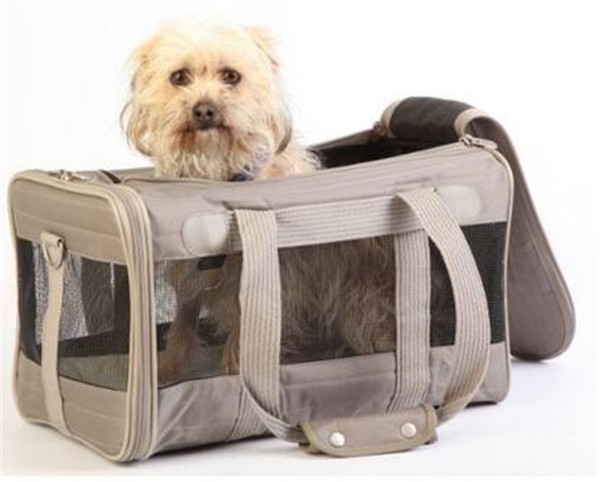 PET BAG36.jpg