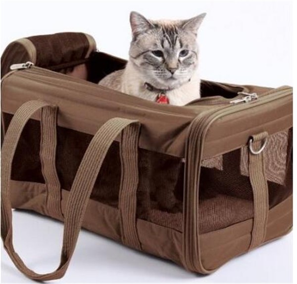 PET BAG44.jpg