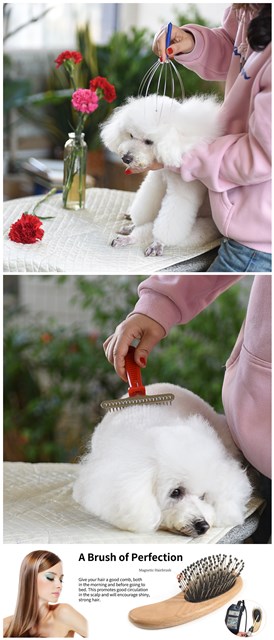 QQ20191225180609.jpg