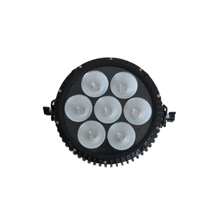 P1007-UV-2.jpg