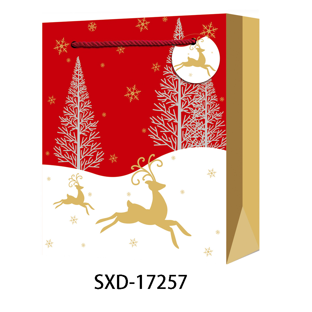 XMB (937).jpg