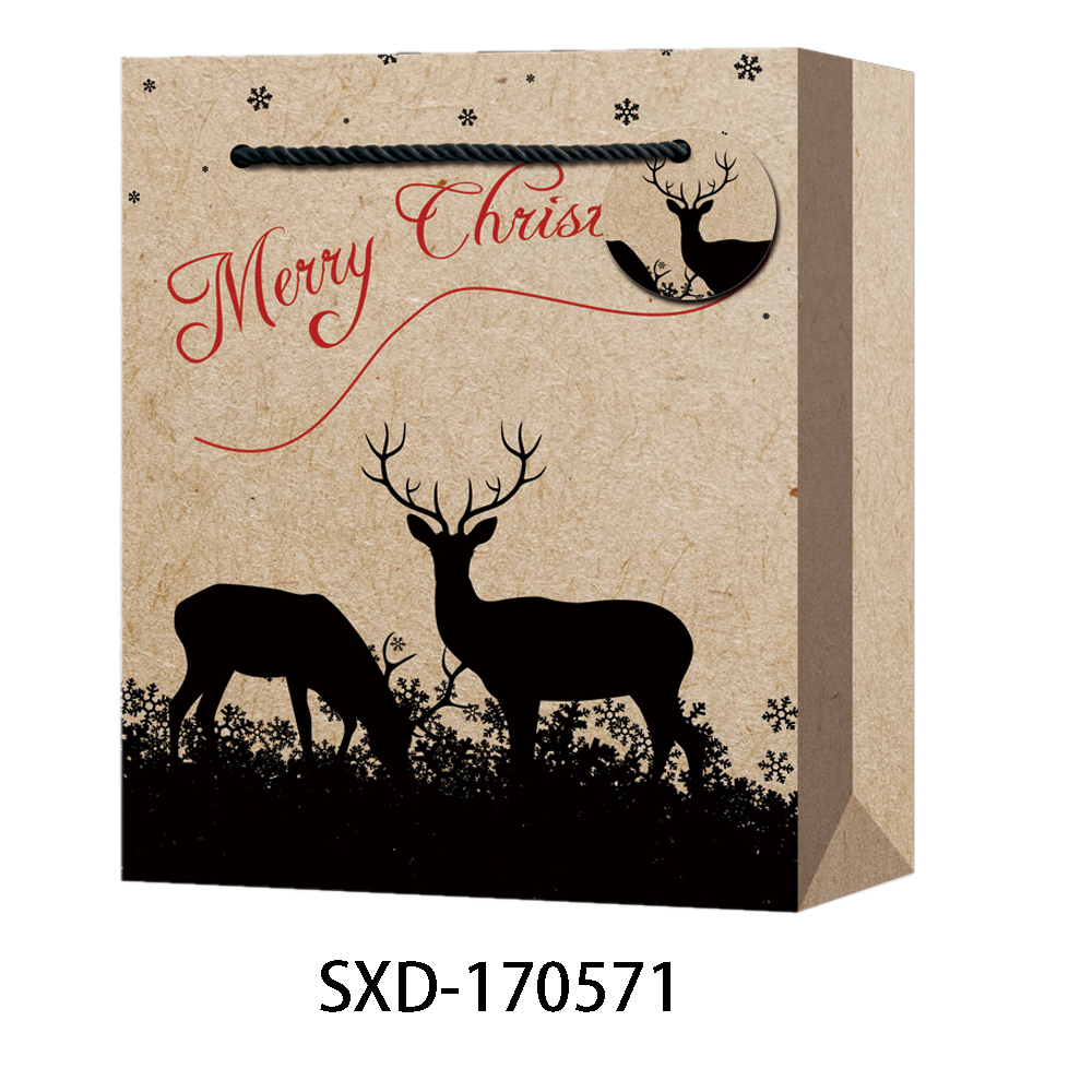 XMAS (42).jpg