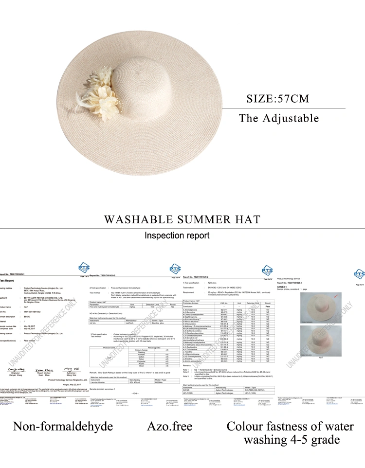 Floppy hat (2)