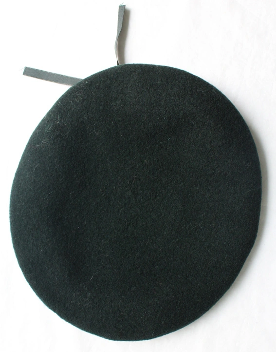 military beret (1).JPG