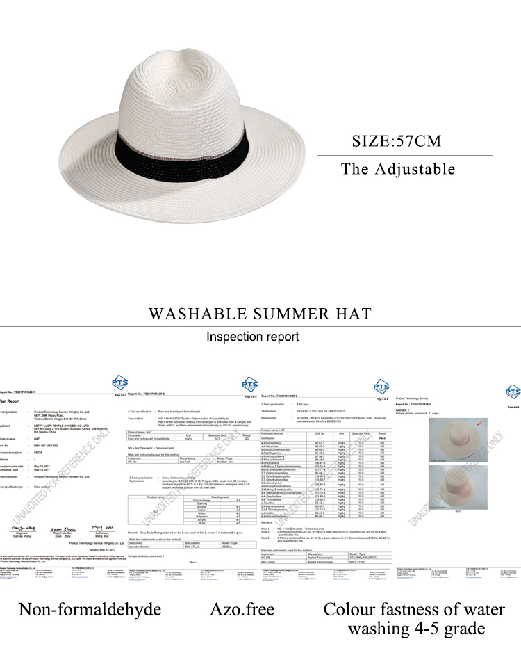 Panama hat 0 (4)