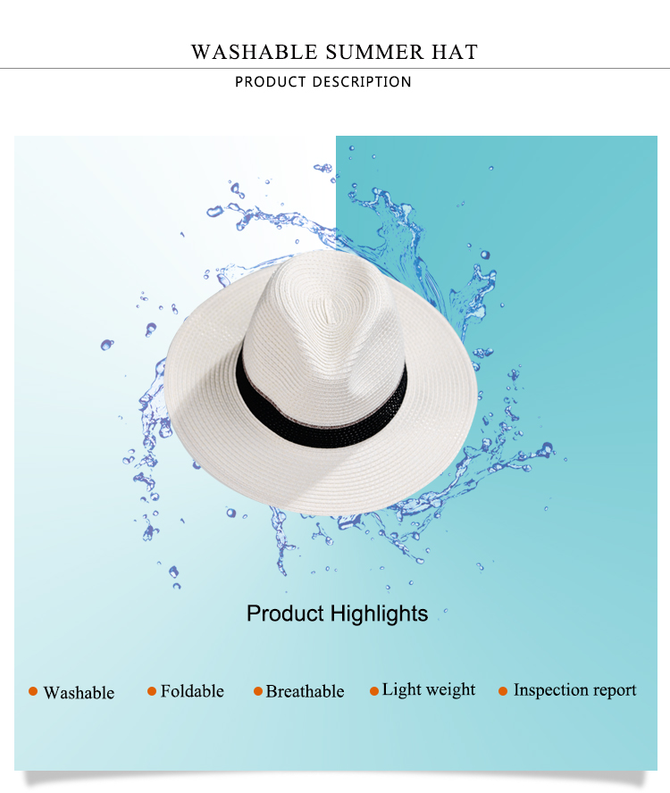 Panama hat 0 (1)