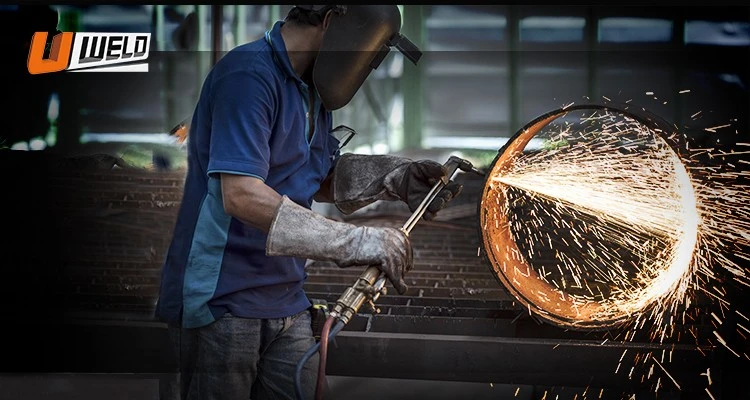 _01.jpg