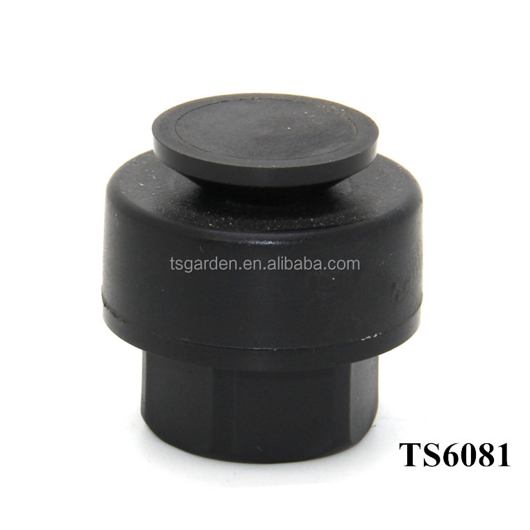 TS6081.jpg