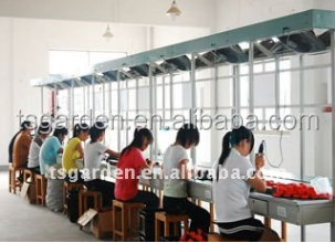 1543034976(1).png
