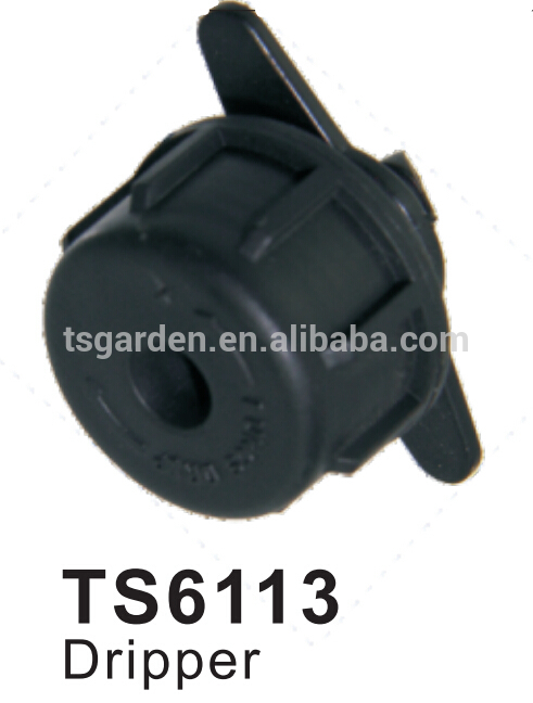 TS6113.jpg