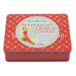 rectangle gift tin box with hinge lid for cookies candy