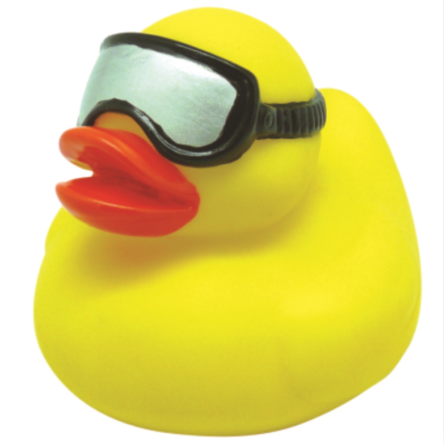 rubber duck sunglasses.png