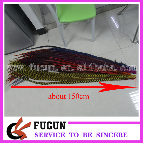 Pheasant feather 3.jpg