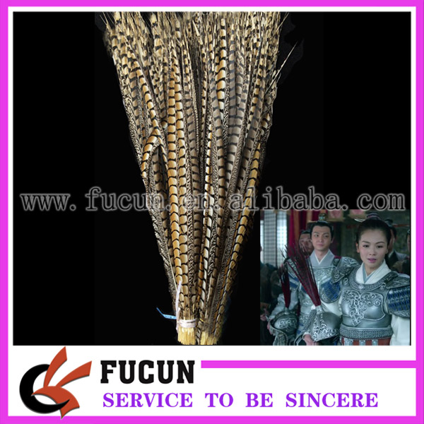Pheasant feather 4.jpg