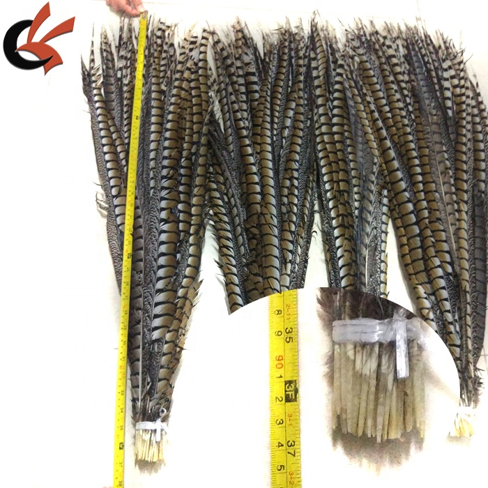 90-95cm pheasant tail feathers.jpg