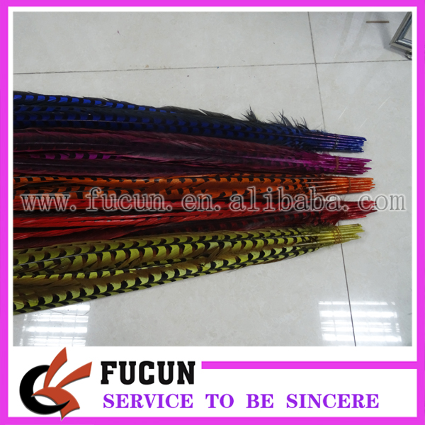 Pheasant feather 2.jpg