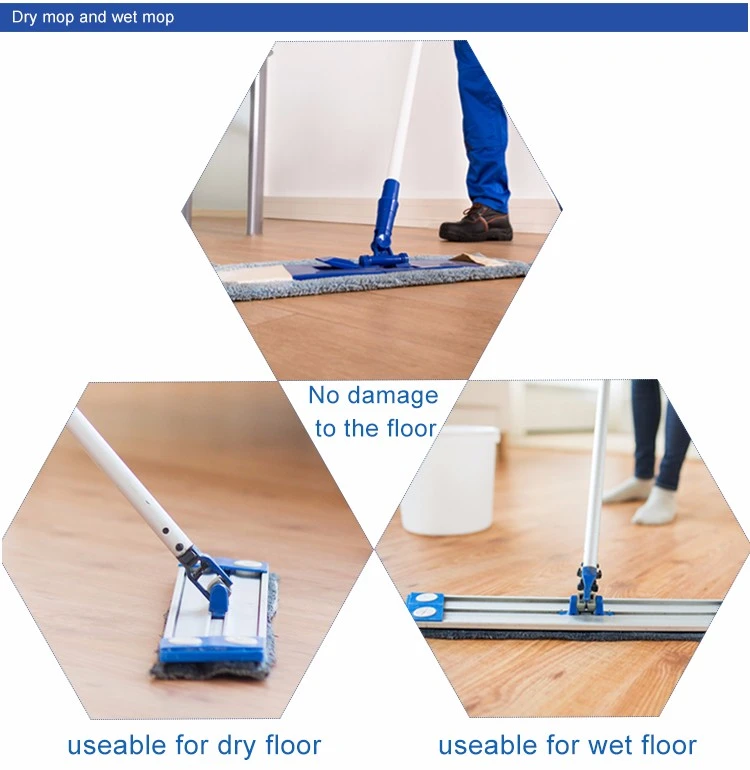 dry_and_wet_mop.jpg