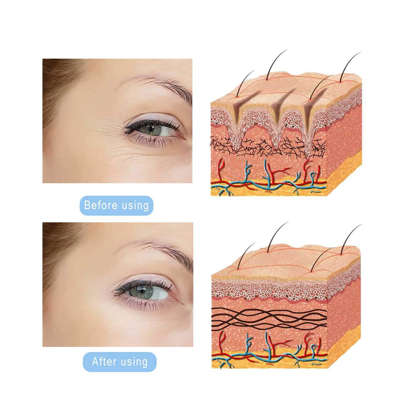 71N5mOGrpCL._SL1300_.jpg