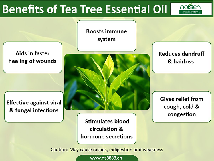teatreeinfographic