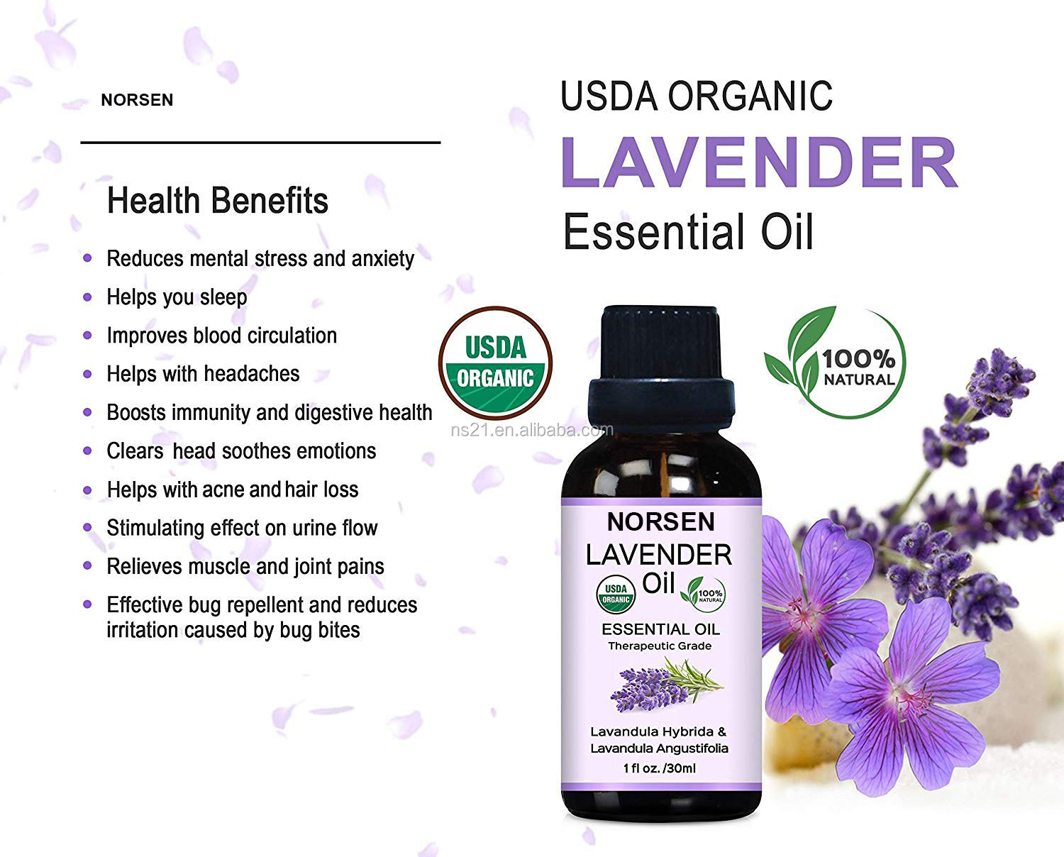 bereer.jpg