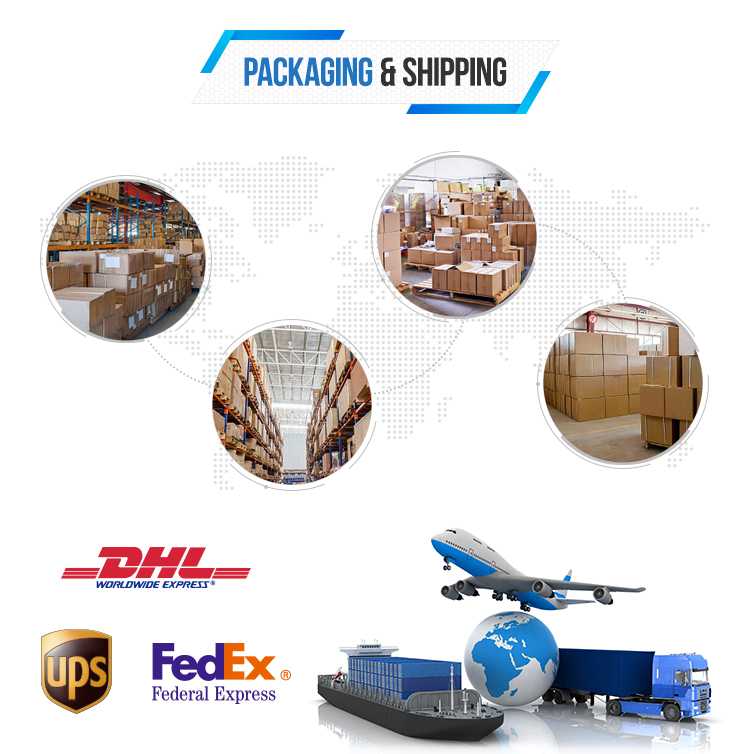 3_06.jpg