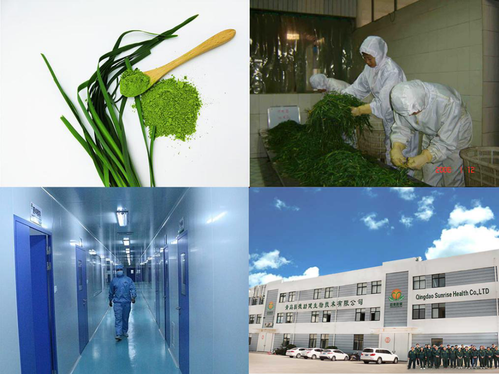 Manufacture technique barley