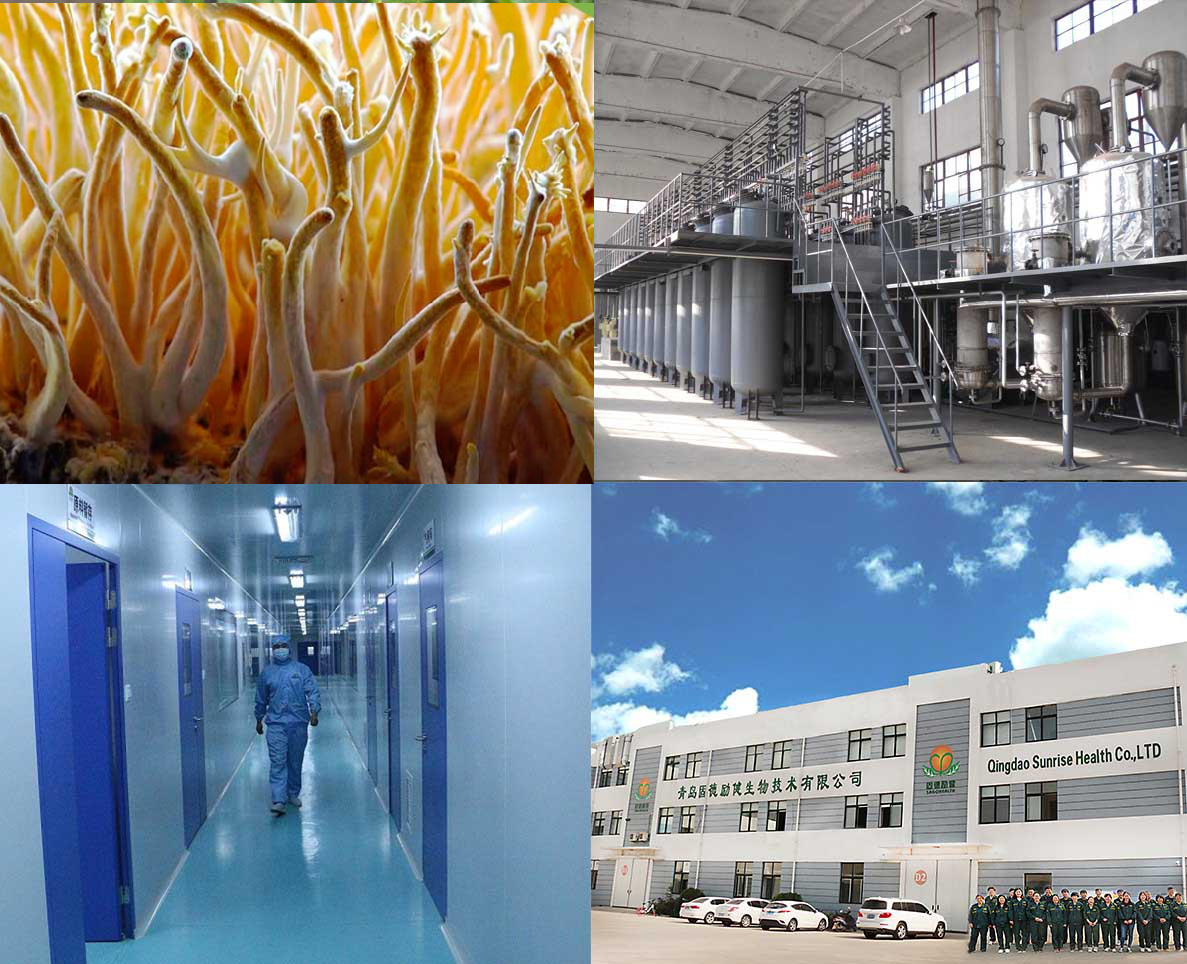 Manufacture technique