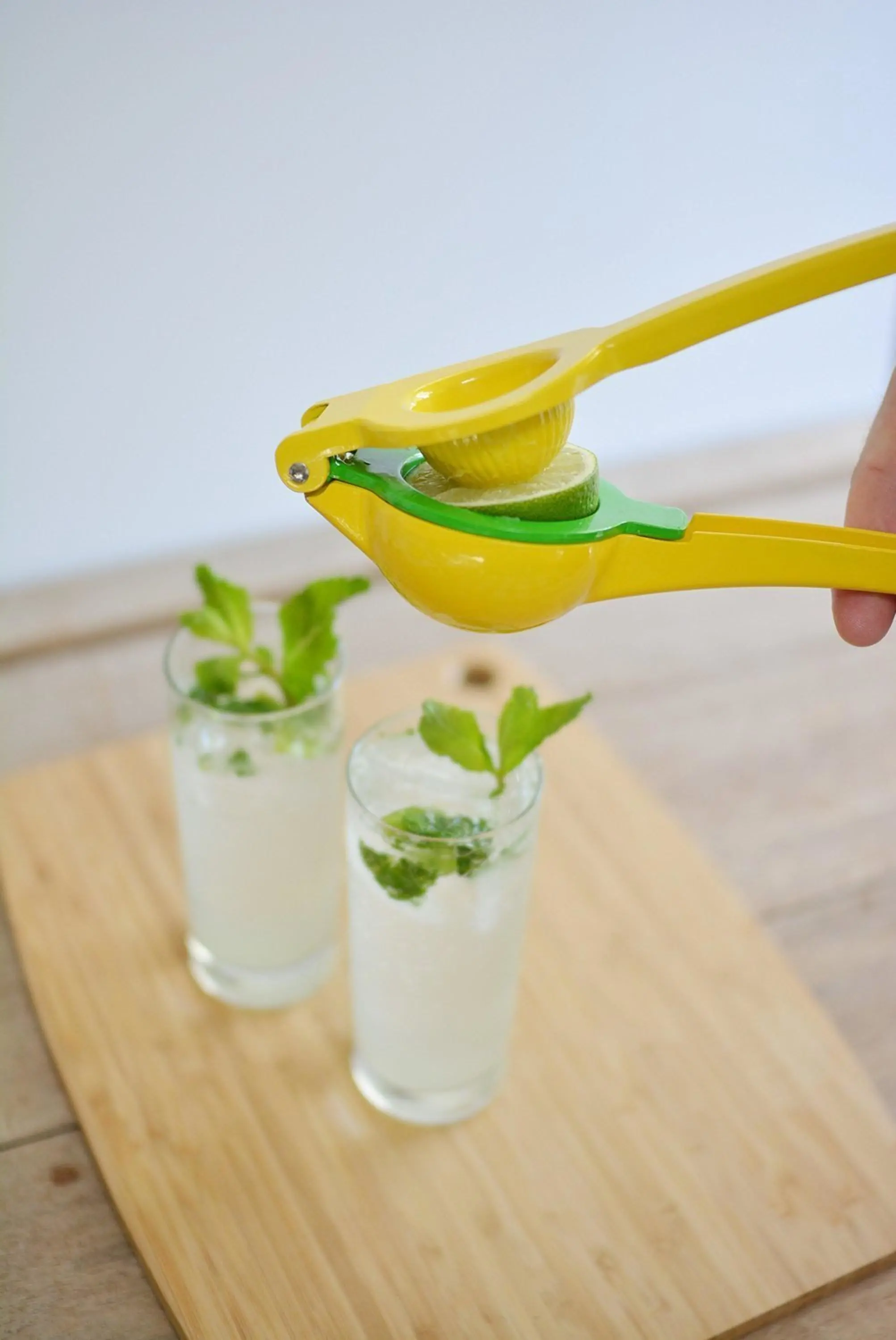 Lemon Squeezer (6).jpg