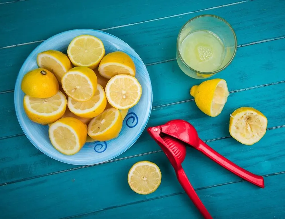 Citrus Presser (8).jpg