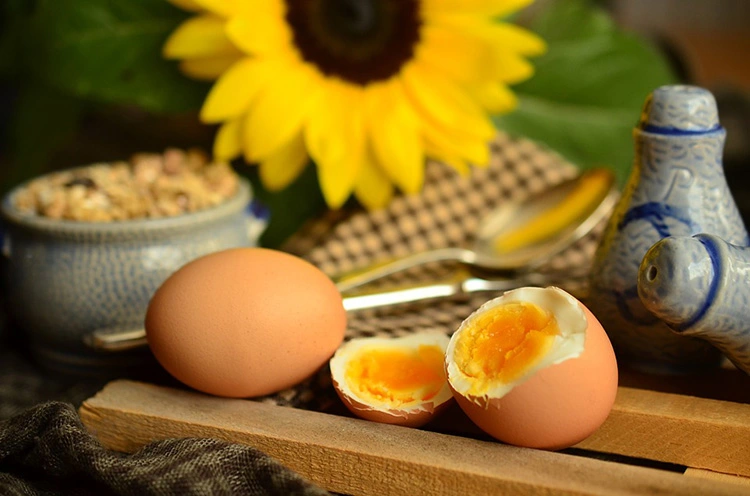 egg-869300_960_720.jpg