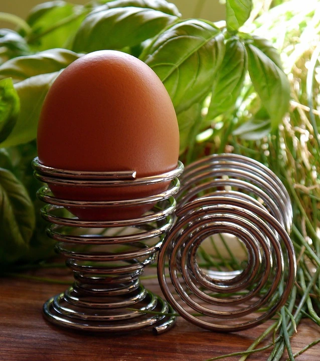 egg-498630_960_720.jpg