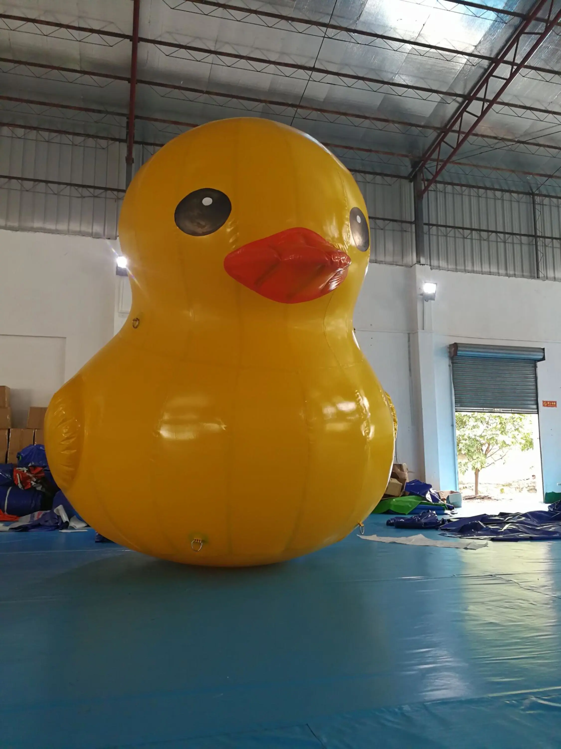 QQ20170725104727.jpg