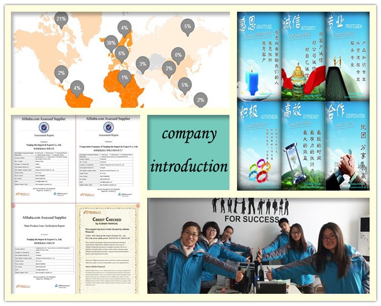 company introduction.jpg