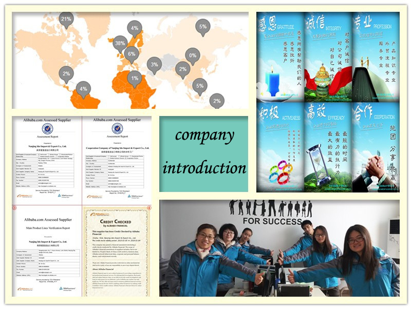 company introduction.jpg