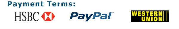 payment terms-1