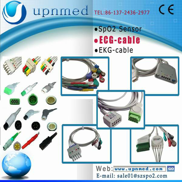ECG.jpg