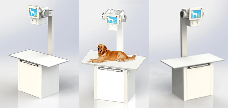 Veterinary X-ray Machine.jpg