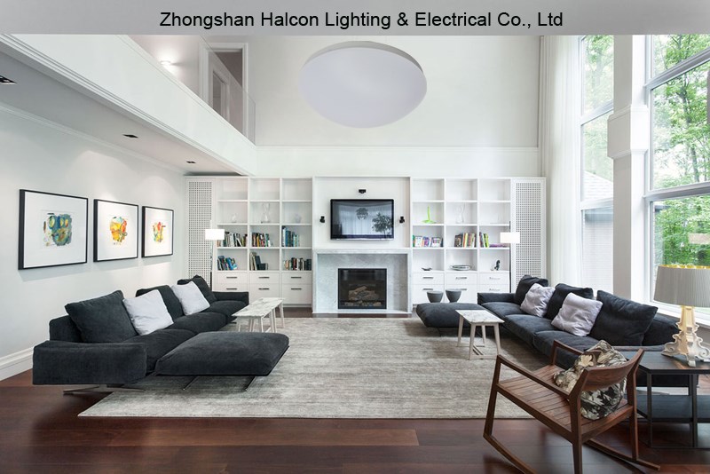 LED ceiling light.jpg